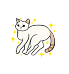 子猫のチキン（個別スタンプ：15）