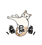 子猫のチキン（個別スタンプ：21）