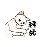 子猫のチキン（個別スタンプ：22）