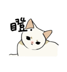 子猫のチキン（個別スタンプ：23）