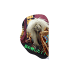 Oromo（個別スタンプ：1）
