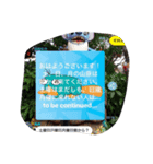 WaTITポッター（個別スタンプ：8）