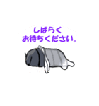 だんごむしスタンプ（個別スタンプ：6）