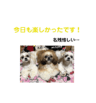 うちの仔スタンプ(犬)2（個別スタンプ：7）