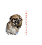 うちの仔スタンプ(犬)2（個別スタンプ：8）
