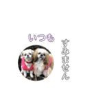うちの仔スタンプ(犬)2（個別スタンプ：9）