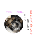 うちの仔スタンプ(犬)2（個別スタンプ：11）