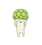 かめさん！（個別スタンプ：1）
