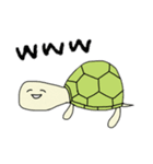 かめさん！（個別スタンプ：20）