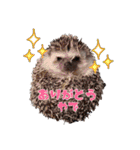 可愛いアニマルS'（個別スタンプ：3）