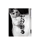 可愛いアニマルS'（個別スタンプ：14）