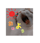 可愛いアニマルS'（個別スタンプ：15）