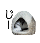 のりたまちゃん（個別スタンプ：8）