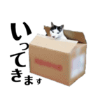 のりたまちゃん（個別スタンプ：14）