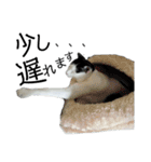 のりたまちゃん（個別スタンプ：18）