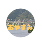 桜江大橋と鯉のぼり（個別スタンプ：3）
