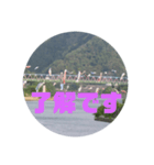 桜江大橋と鯉のぼり（個別スタンプ：4）