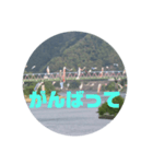 桜江大橋と鯉のぼり（個別スタンプ：5）