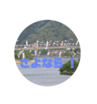 桜江大橋と鯉のぼり（個別スタンプ：7）