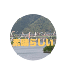 桜江大橋と鯉のぼり（個別スタンプ：11）