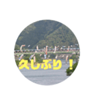 桜江大橋と鯉のぼり（個別スタンプ：15）