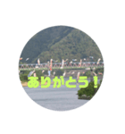 桜江大橋と鯉のぼり（個別スタンプ：18）