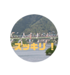 桜江大橋と鯉のぼり（個別スタンプ：19）