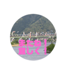 桜江大橋と鯉のぼり（個別スタンプ：23）