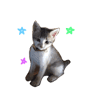 イオメロチャンฅ^•ﻌ•^ฅ（個別スタンプ：2）