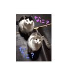 イオメロチャンฅ^•ﻌ•^ฅ（個別スタンプ：4）