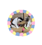 イオメロチャンฅ^•ﻌ•^ฅ（個別スタンプ：7）