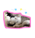 イオメロチャンฅ^•ﻌ•^ฅ（個別スタンプ：9）