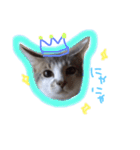 イオメロチャンฅ^•ﻌ•^ฅ（個別スタンプ：10）