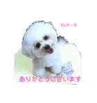 みよん家のわんこ＆にゃんこスタンプ①（個別スタンプ：2）