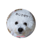 みよん家のわんこ＆にゃんこスタンプ①（個別スタンプ：14）