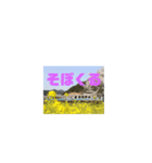 三江線と石見方言 桜江編3（個別スタンプ：5）