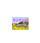 三江線と石見方言 桜江編3（個別スタンプ：7）