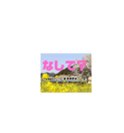 三江線と石見方言 桜江編3（個別スタンプ：11）