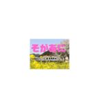 三江線と石見方言 桜江編3（個別スタンプ：14）