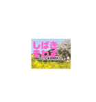 三江線と石見方言 桜江編3（個別スタンプ：22）