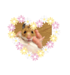 オリジナル癒しスタンプ（個別スタンプ：1）