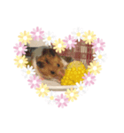 オリジナル癒しスタンプ（個別スタンプ：2）