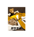 トイプードルモナのあいさつスタンプ（個別スタンプ：2）