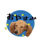 あいらぶゆずあん（個別スタンプ：13）