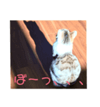 山本家の花火（個別スタンプ：3）