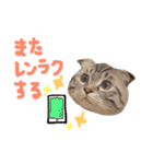 折れ耳姉弟らみ＆れお②（個別スタンプ：1）