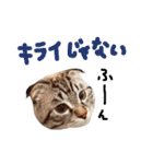折れ耳姉弟らみ＆れお②（個別スタンプ：11）