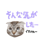 折れ耳姉弟らみ＆れお②（個別スタンプ：27）