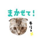 折れ耳姉弟らみ＆れお②（個別スタンプ：34）