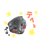 折れ耳姉弟らみ＆れお②（個別スタンプ：39）